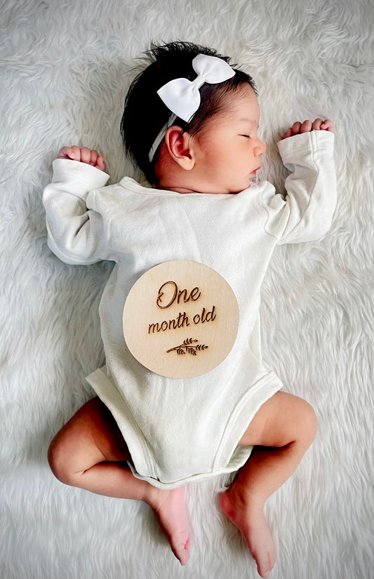 Baby Monthly Photo Props: Classic Wooden Monthly Milestone Card Discs From Newborn To 1 Year, Wooden Baby Photoshoot Props For Baby Girl Or Baby Boy Newborn Gifts 13 Pc